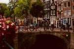 Stage en Marketing Numérique et Ventes Internationales à Amsterdam